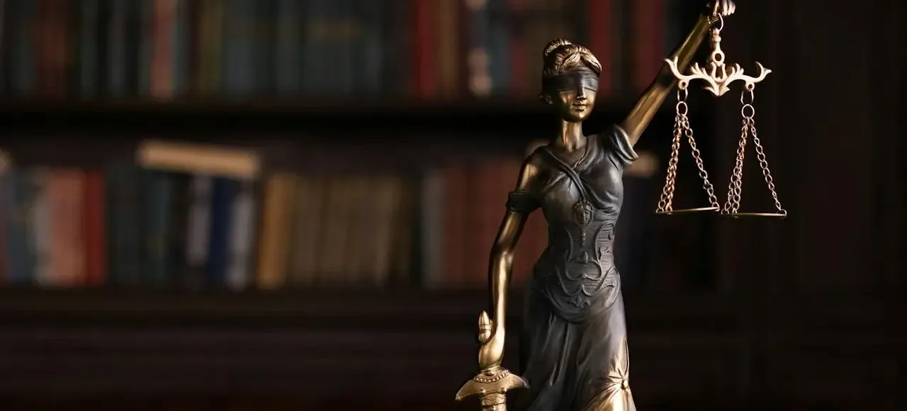 NGO & CSO Law